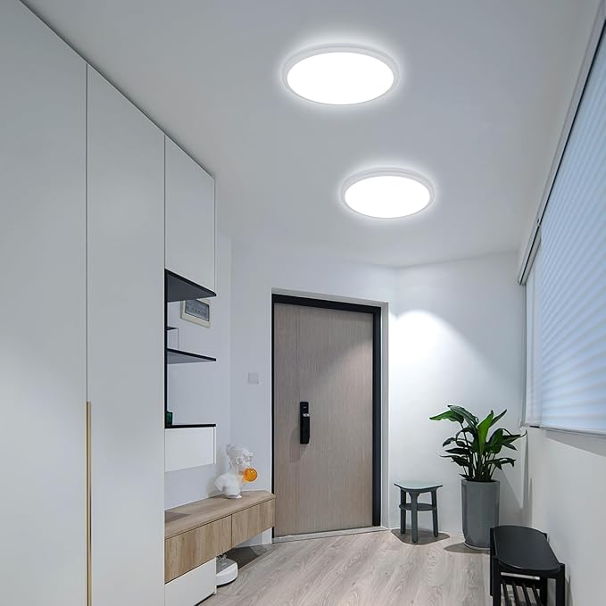 12 Inch LED Ceiling Light, 6500K Cool White 2100LM Ceiling Light Fixture, IP54 Outdoor Ceiling Light for Porch, Hallway, Bathroom, Living Room, Laundry, Bedroom, Outdoor/Indoor