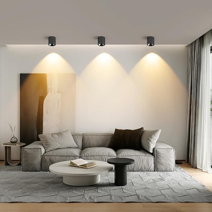 24W LED Dimmable Black Ceiling Spot Light 4.92'' Aluminum CRI90 3000KCylinder Spotlight Indoor Modern Minimalist Focus Black Ceiling Down Light Fixture for Living Room Hallway Foyer 6 Pack