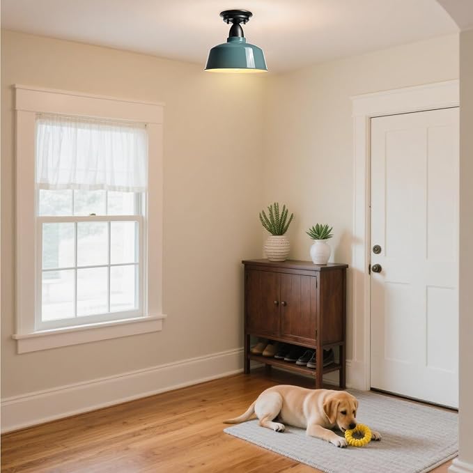 Blue Ceiling Light Fixture Macarons Indoor Ceiling Lights for Hallway Laundry Basement 10 in Barn Style Kitchen Light Fixtures Outdoor Ceiling Lights for Porch…