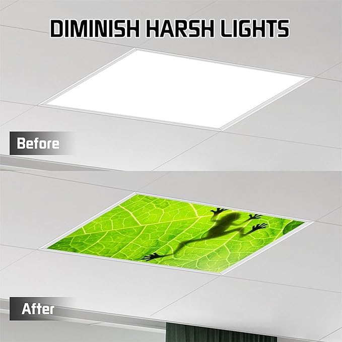 2 Pack Fluorescent Light Cover for Ceiling, Funny Frog Magnetic Classroom Lights Covers, School Supplies for Home Office