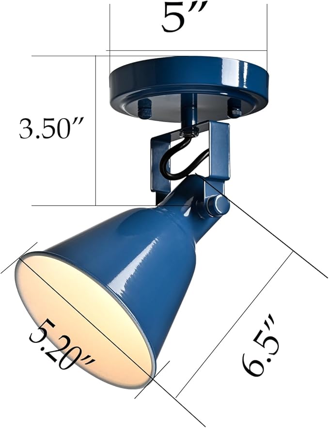 DIRYZON 1-Light Adjustable Blue Spotlight, Semi Flush Mount Track Light Ceiling Light Fixture for Bedroom, Kitchen, Hallway & Wall Art Display