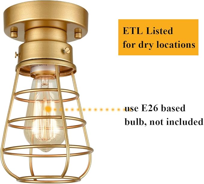 Industrial Flush Mount Ceiling Light Fixture, Gold Farmhouse Mini Metal Cage Light, Vintage Rustic Close to Ceiling Light Fixture for Kitchen Hallway Entryway Entrance Stairway Laundry Room