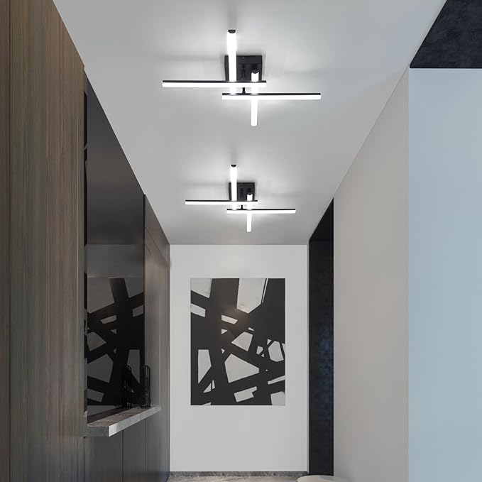 ElDISUNY Modem LED Ceiling Light, 24w Black Sputnik Ceiling Light, 6500K Cool White Flush Mount Ceiling Light Fixture for Bedroom Hallway Living Room Dining Room Coridor Kitchen