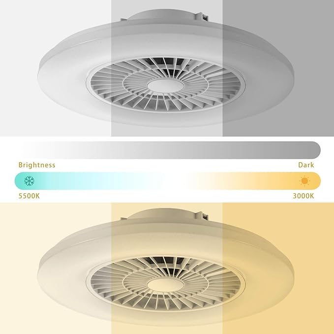 Ceiling Fans with Lights and Remote, 24'' Low Profile Ceiling Fan, RGB Ceiling Fan Lights, Stepless Dimming for Living Room, Dining Room, Bedroom