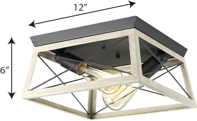 Progress Lighting Briarwood Collection 2-Light Ceiling Light, Flush Mount Ceiling Light Fixture for Interior Kitchen Lights, Hallway, Bedroom, Living Room, 12-Inch by 6-Inch, Graphite