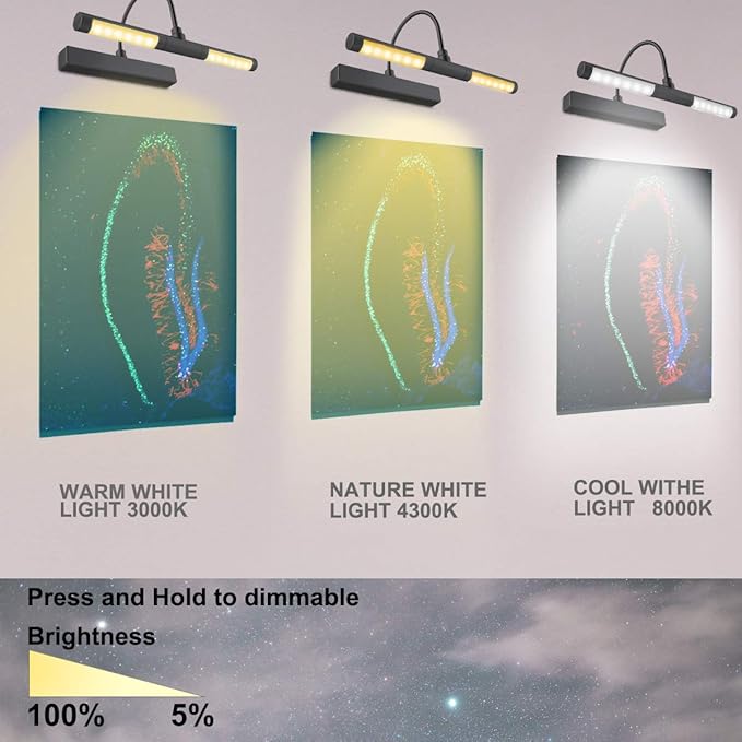 LUXSWAY Wireless Picture Light Battery Operated, Remote Control Painting Light with Rotatable Head, Dimmable and Timer Off, Wall Art Lights for Pictures Painting Artworking Display-Black