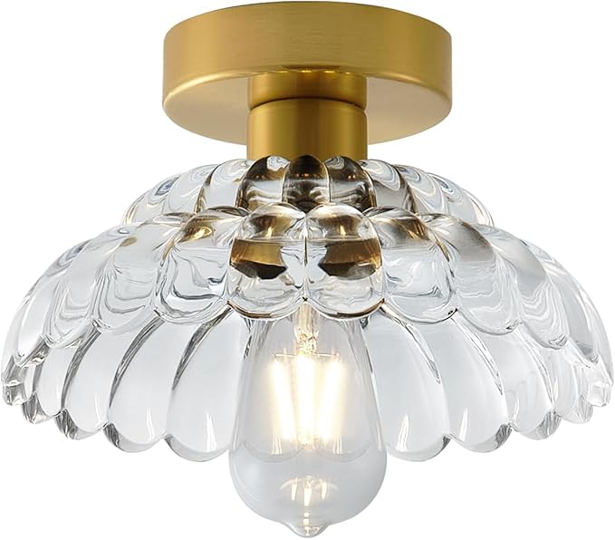 ANYLOVE 10 Inch Clear Glass Vintage Glass Semi Flush Mount Ceiling Light, E26 Socket for Bedroom Kitchen Hallway Foyer