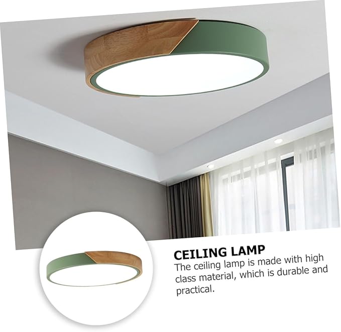 TEHAUX 1pc Modern Minimalist Ceiling Lamp Simple Decorative Light Fixture for Home and Restaurant Easy to Install for Bedroom Living Room and Hallway