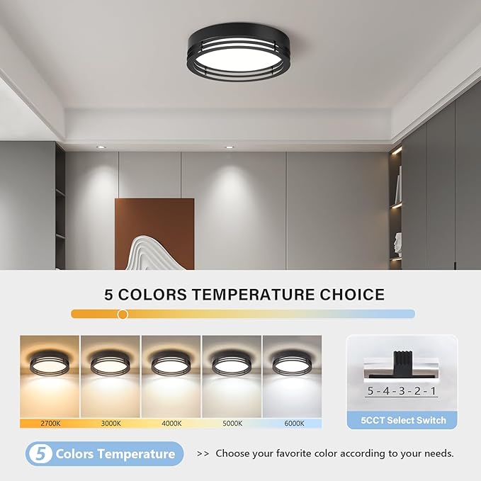 Black Flush Mount Ceiling Light, Modern Dimmable LED Light Fixture, Minimalist Metal Ceiling Lamp for Bedroom Kitchen Laundry Room Hallway Entry 2700 K - 6000 K 5CCT 11.8 Inch