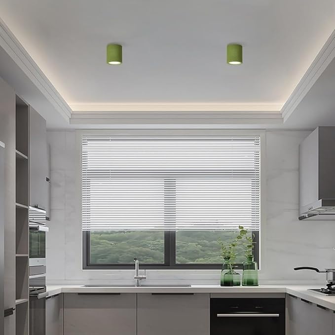 KISAD Close to Ceiling Lights Nordic Resin Ceiling Light Mini Flush Mount Ceiling Lamp Cream Style Hallway Lighting Fixture Minimalism Ceiling Downlight(Green)