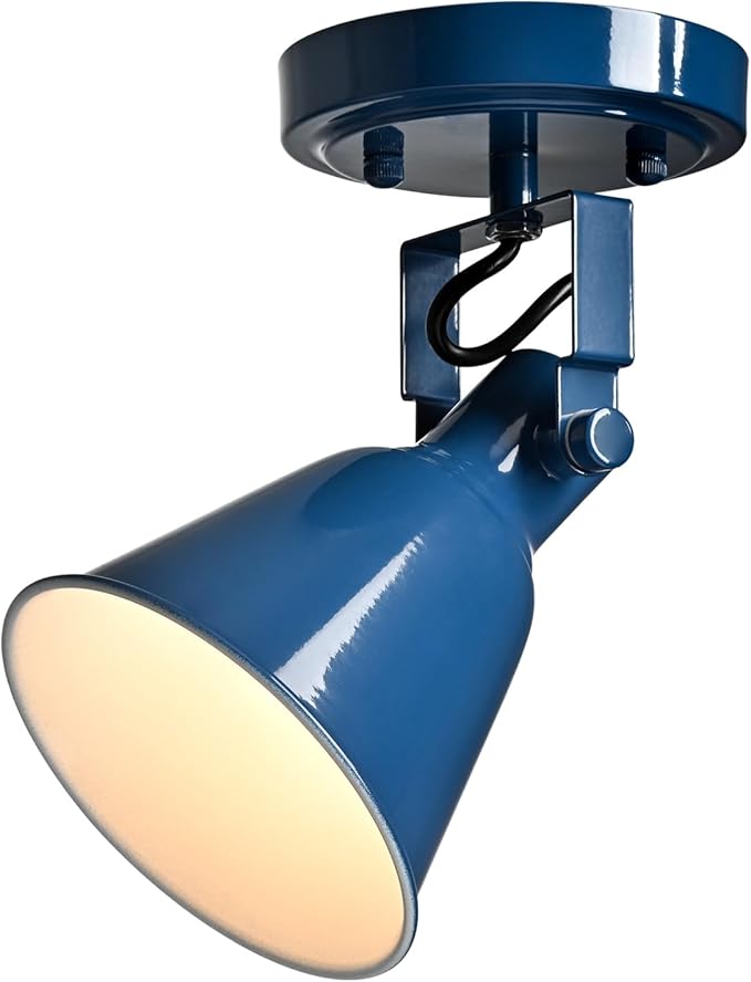 DIRYZON 1-Light Adjustable Blue Spotlight, Semi Flush Mount Track Light Ceiling Light Fixture for Bedroom, Kitchen, Hallway & Wall Art Display