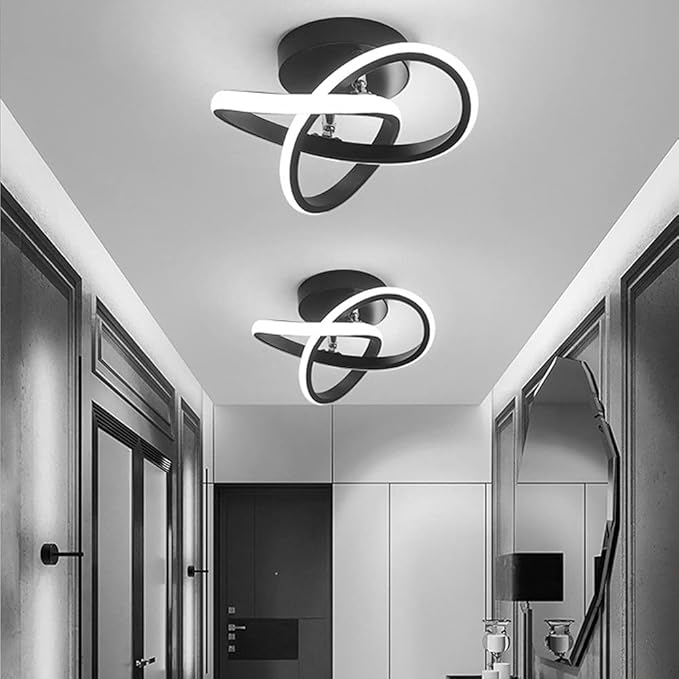 EIDISUNY Modern LED Ceiling Light, 2 Rings Creative Black Hallway Ceiling Lighting 6000K Flush Mount Ceiling Lights for Kitchen Bathroom Cool White Light 22W (Black)