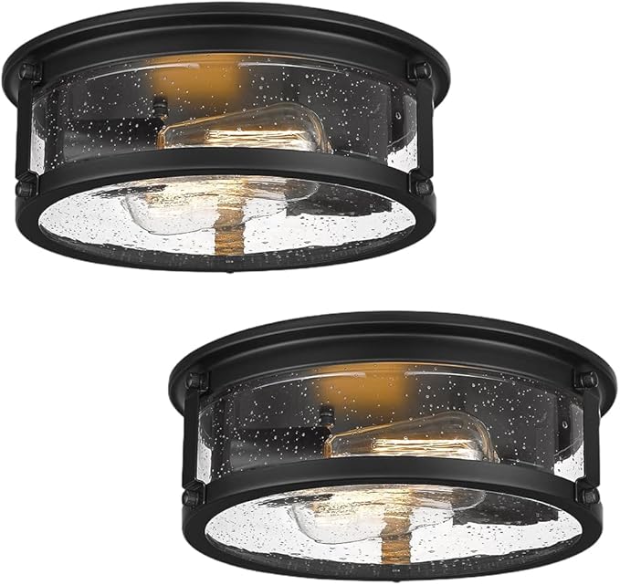 2-Light Flush Mount Light Fixtures，12inch Vintage Industrial Light Fixtures Ceiling Mount with Metal Cage for for Hallway Corridor Kitchen Bathroom Bedroom Passway - Black 2PK