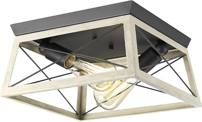 Progress Lighting Briarwood Collection 2-Light Ceiling Light, Flush Mount Ceiling Light Fixture for Interior Kitchen Lights, Hallway, Bedroom, Living Room, 12-Inch by 6-Inch, Graphite