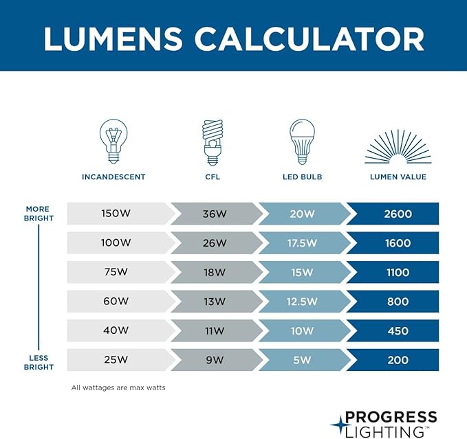 Progress Lighting Gulliver Collection 2-Light Whitewashed Farmhouse Flush Mount Ceiling Light, Galvanized, 6.50x14.37x14.37