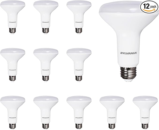 Sylvania LED Flood BR30 Light Bulb, 65W = 9W, 10 Year, 650 Lumens, Dimmable, 5000K, Daylight - 12 Pack (41264)