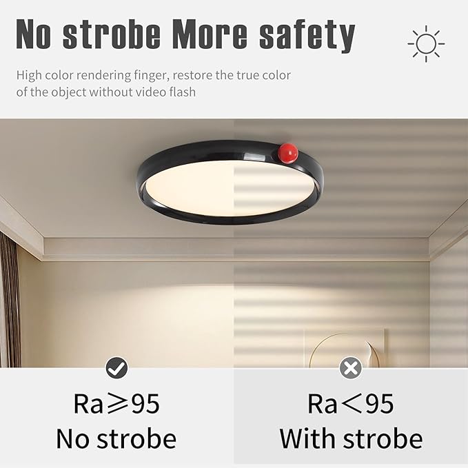 Black Round Flat Panel Light, Dimmable Modern Flush Mount Ceiling Light Fixture,24W 3000K/4000K/5000K,Fits for Hallway Kitchen Bedroom Living Room Closet Room