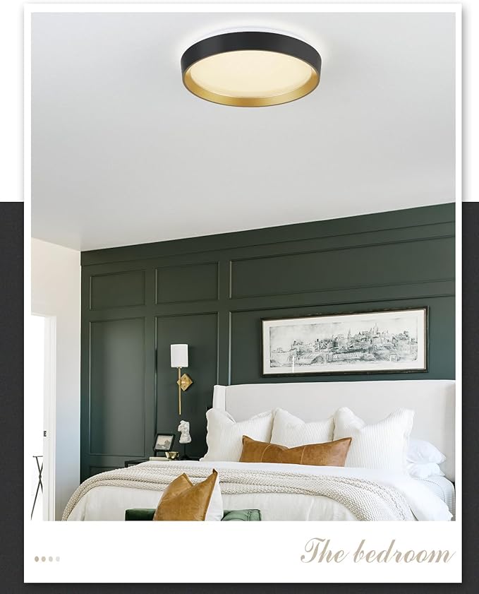 ANYLOVE 10 Inch Modern Flush Mount Ceiling Lights,White Gold Plastic Round Ceiling Light,Dimmable 3000K,3500K,4000K,5000K,6000K,for Living Room,Dining Room,Bedroom,Kitchen (Black and Gold, 15 Inch)