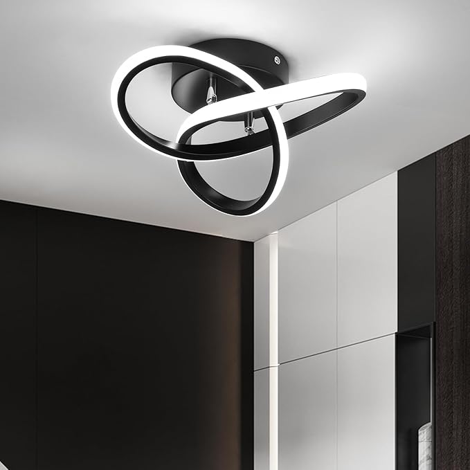 EIDISUNY Modern LED Ceiling Light, 2 Rings Creative Black Hallway Ceiling Lighting 6000K Flush Mount Ceiling Lights for Kitchen Bathroom Cool White Light 22W (Black)