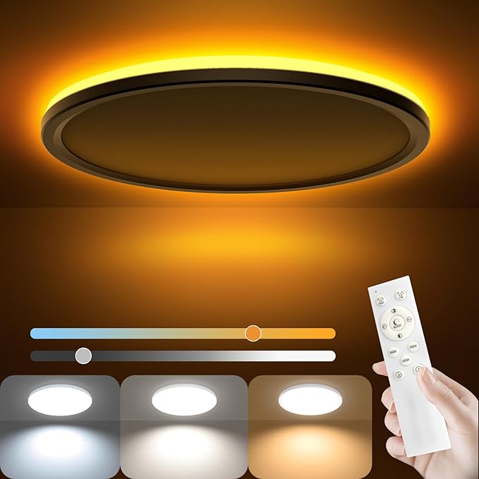 AmazeFan 12 Inch LED Ceiling Light Dimmable - 24W 2400LM Modern Wired Ceiling Lamp with Remote - 6W Night Light Warm - LED Flush Mount Ceiling Lights for Bedroom Kitchen Living Room Round (White)