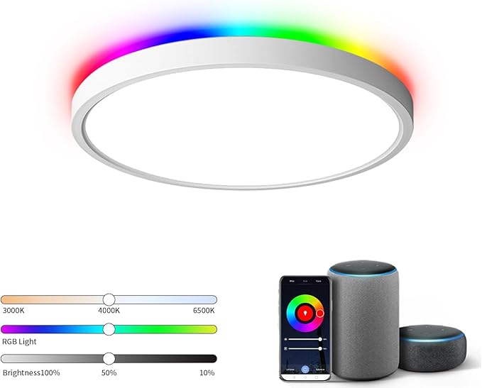 TALOYA Smart Ceiling Light Fixture 10 Inch Flush Mount Led with RGB Night Light, Compatible with Alexa Google Assistant, 2.4G WiFi Ceiling Mount Lamp for Kids’ Room