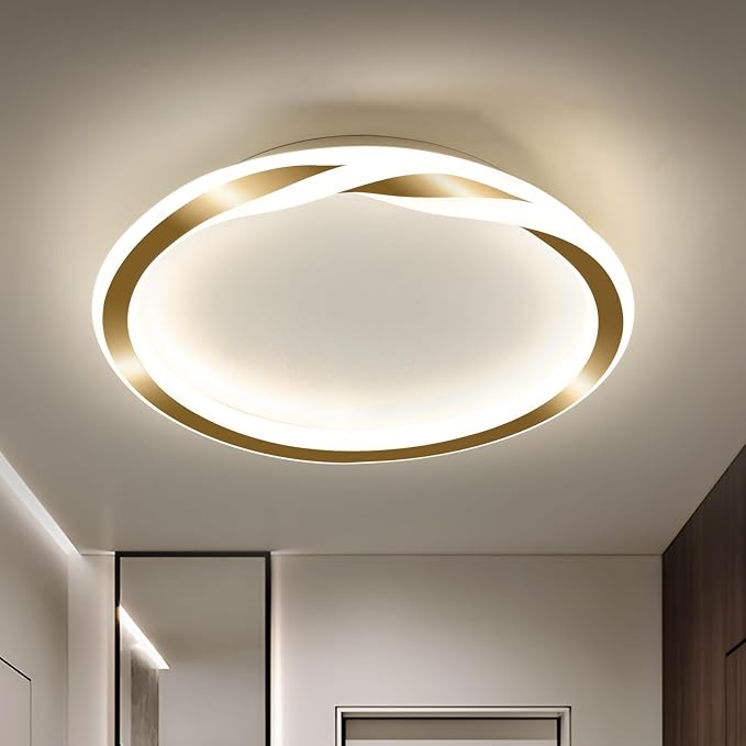 ASGYISA 16inch Modern LED Ceiling Light Gold Flush Mount Light Fixture Bright Ceiling Lamp for Closet Bathroom Hallway Bedroom Kitchen （Circle ） 4000K