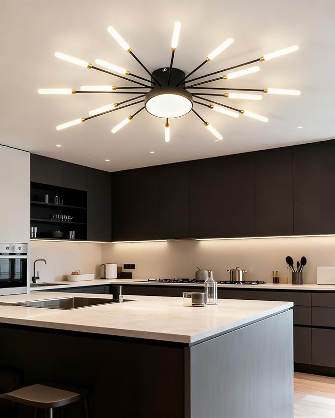 18+1 Lights LED Ceiling Light Fixture Modern Flower Ceiling Lights Flush Mount Firework Chandeliers Black Indoor Lighting for Living Room Bedroom 4000K 30W Deco Close to Ceiling Light