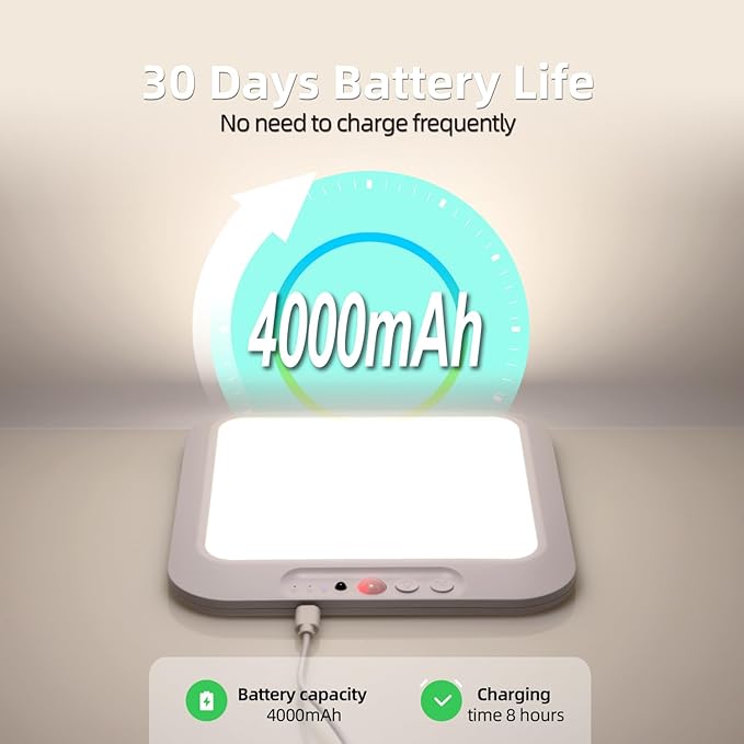 DAMI Rechargeable Ceiling Light with Remote, 4000mAh Battery, Motion Sensor Indoor Shower Light, Dimmable & 3 Color Temperature (3000K/4500K/6500K), Timer for Closet, Hallway, Bathroom, Patio