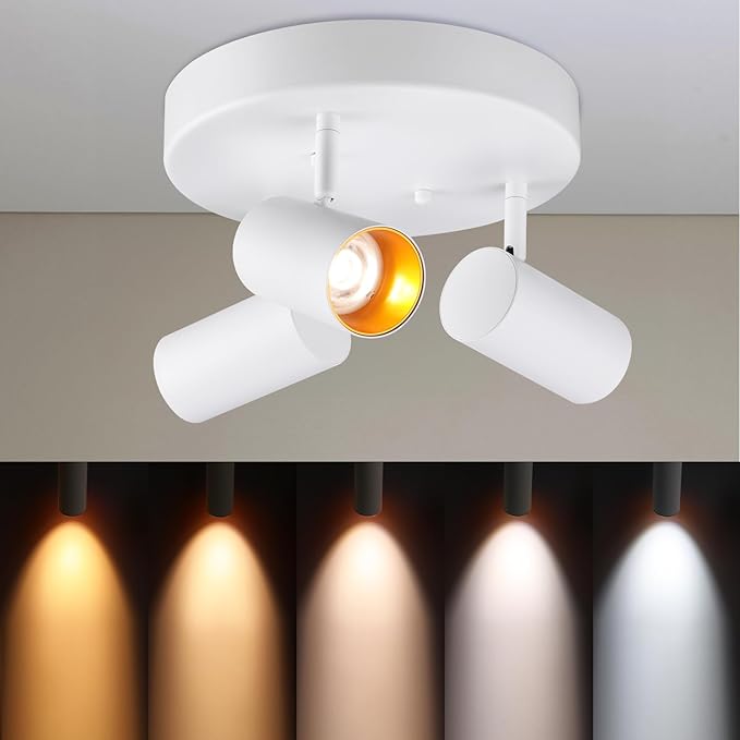 LEONLITE 36W 5CCT 3 Light LED Directional Ceiling Spotlight Fixtures, Adjustable Spot Light Flush Mount, Dimmable Accent Lighting for Kitchen, Hallway, 110-277V, 3200lm, CRI90, White