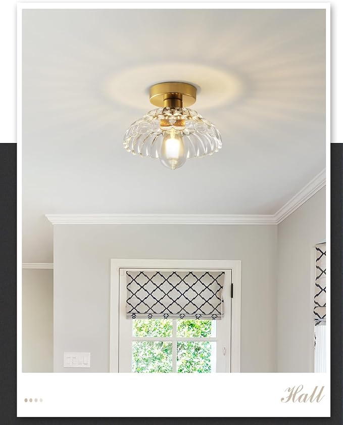 ANYLOVE 10 Inch Clear Glass Vintage Glass Semi Flush Mount Ceiling Light, E26 Socket for Bedroom Kitchen Hallway Foyer
