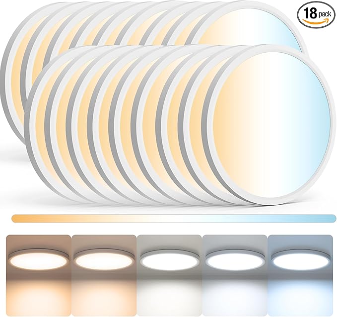 18Pack LED Flush Mount Ceiling Light,12inch 24W,2700K-6500K 5 Color Temperature Selectable Ceiling Lights, 3200LM Low Profile Ceiling Light for Bedroom Kitchen Hallway