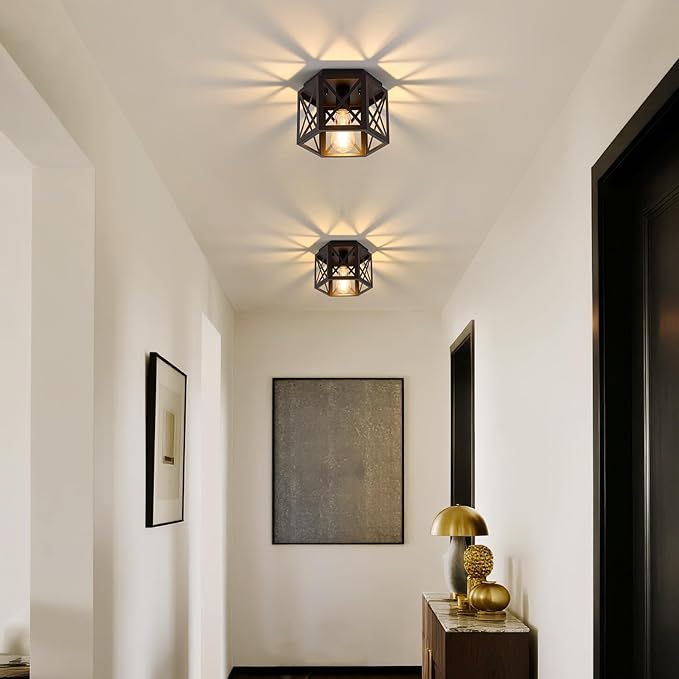 2 Pack Flush Mount Ceiling Light, 1-Light Black Light Fixtures Ceiling Mount, Small Flush Mount Lamp with Hexagonal Metal Cage, Farmhouse Chandeliers for Hallway Kitchen Sink Entryway Foyer