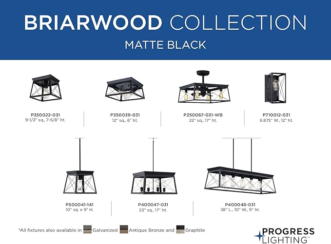 Progress Lighting Briarwood Collection 2-Light Ceiling Light, Flush Mount Ceiling Light Fixture for Interior Kitchen Lights, Hallway, Bedroom, Living Room, 12-Inch by 6-Inch, Textured Black