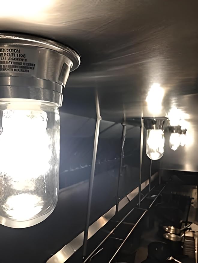 OCS Parts 100W Surface Mount Incandescent Canopy Hood Light Fixture with Clear Coated Tempered Glass Globe (1)