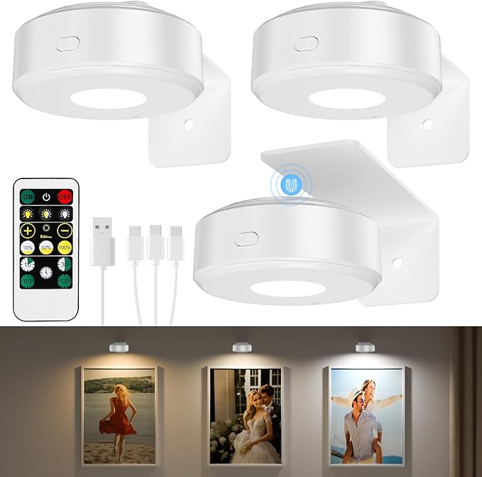 Picture Lights with Remote, Wireless Rechargeable Battery Operated Wall Light 3 Pcs Dimmable and Timer Metal Art Light for Paintings,Display, Wall, Artwork, Gallery (White)