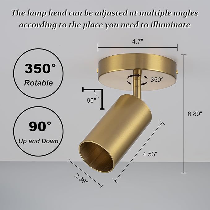 Gold Spot Lights Indoor 2 Pack LED Ceiling Spotlight Fixtures Adjustable 90° Anti-Glare Spotlight for Living Room, Paintings, Wall Art and Artwork, Warm White 3000K