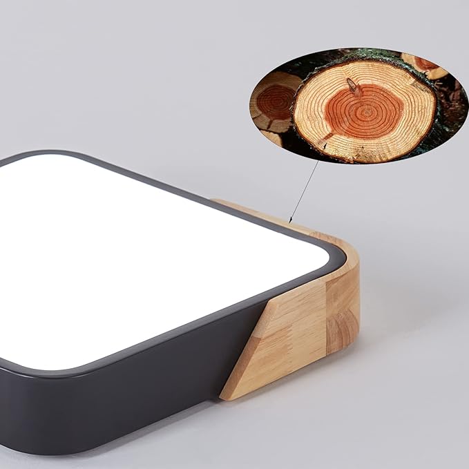 Modern Flush Mount Led Ceiling Light, 24W Black, 11.8 Inch, Cool White, 6500K for Bedroom, Kitchen, Living Room, Hallway