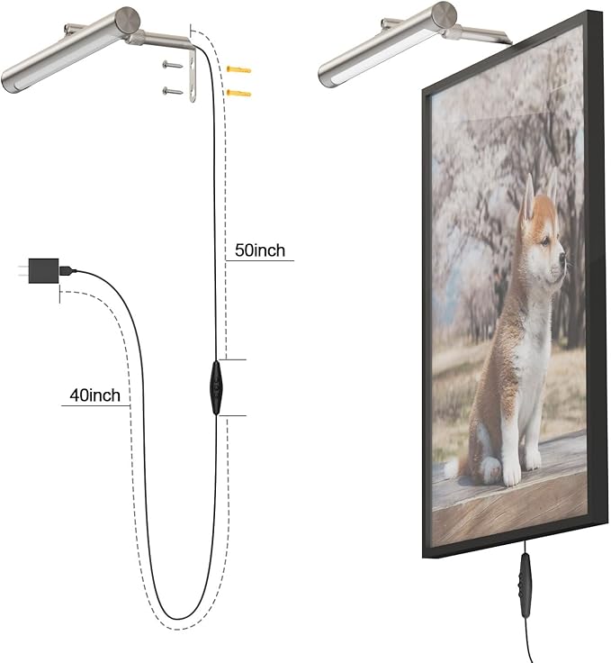 4W Picture Light Plug in, 12" Adjustable LED Art Light with Remote Control, Dimmable Wall Light for Picture Display Dartboard Art Work (Nickel)