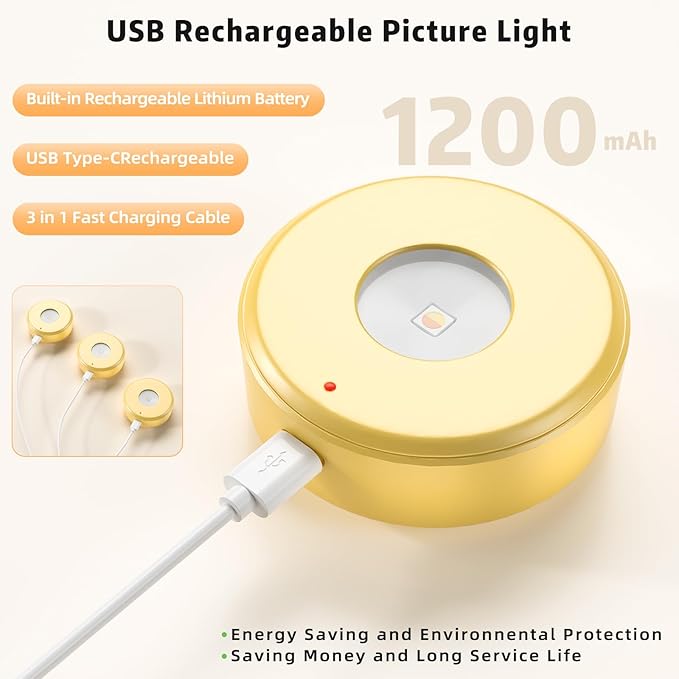 3PCS Picture Lights, Rechargeable Battery Wall Light for Paintings, 3 Colors Paintings Light Dimmable and Timer Metal Art Light for Display, Wall, Artwork, Gallery (Gold)