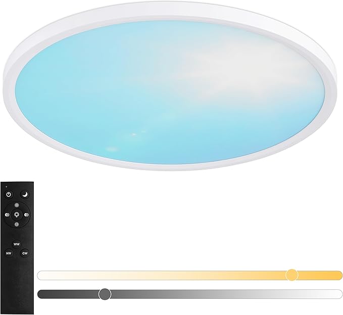 16 Inch Flush Mount Ceiling Light Fixture,24W Dimmable Ceiling Light with Remote, 3000K/4500K/6000K Adjustable White Ceiling Lights, Blue Sky LED Round Flat Panel Light for Kitchen, Bedroom