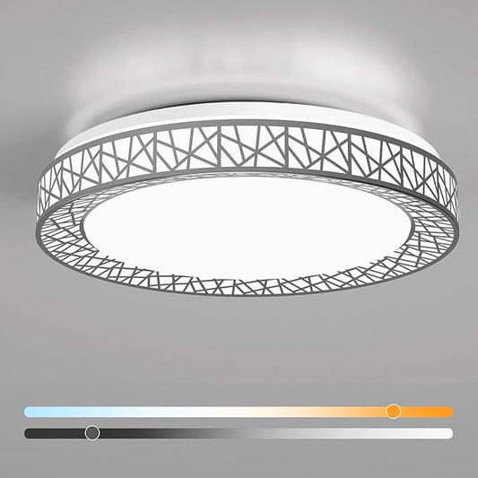 Lightania 20 Inch Flush Mount Ceiling Light, Modern Brushed Nickel LED Ceiling Light Fixture, 42W 4000LM 2700-6500K Adjustable, Dimmable Ceiling Lights for Bedroom, Kitchen, Hallway, Bathroom, ETL