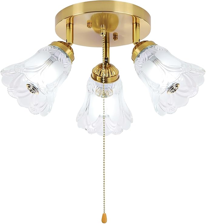 3-Light Flush Mount Ceiling Light with Pull Chain Clear and Frosted Glass Low Profile Lighting Fixtures for Kitchen Living Room Dining Room Closet (Brass)