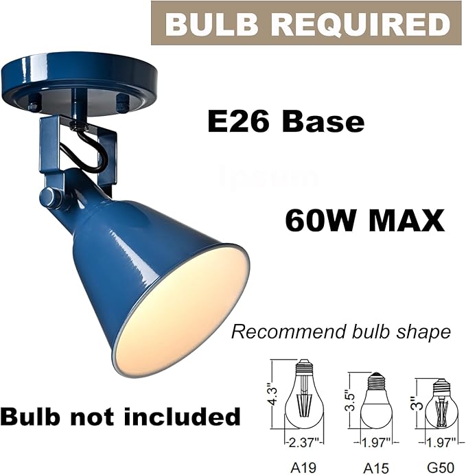 DIRYZON 1-Light Adjustable Blue Spotlight, Semi Flush Mount Track Light Ceiling Light Fixture for Bedroom, Kitchen, Hallway & Wall Art Display