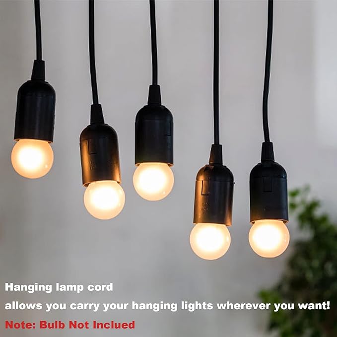 Plug in Hanging Light Kit, Retro Hanging Lights with Plug in Cord, E26 E27 Industrial Pendant Light Fixture, 9.8 FT Cord with On/Off Switch Hanging Lamp for Living Room Bedroom 2 Pack (Black)