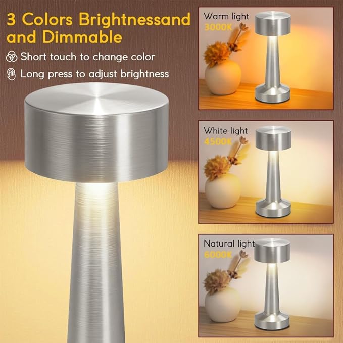 HPUFKOT Portable LED Table Lamp, 3-Levels Brightness Metal Desk Lamp,3 Color Touch Control Rechargeable Lamp, Ideal Bedside Lamp for Nightstand,Bedroom, Living Room (Silver)