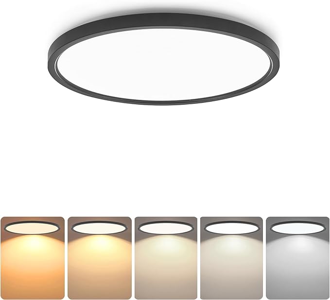 TALOYA 2 Pack of Black 10 Inch LED Ceiling Light Fixture Flush Mount for Closet Porch, 5 CCT Options, Energy Efficient Ceiling Fixture 20W Equivs to 120W Traditional Lamp Perfect for Low Ceiling