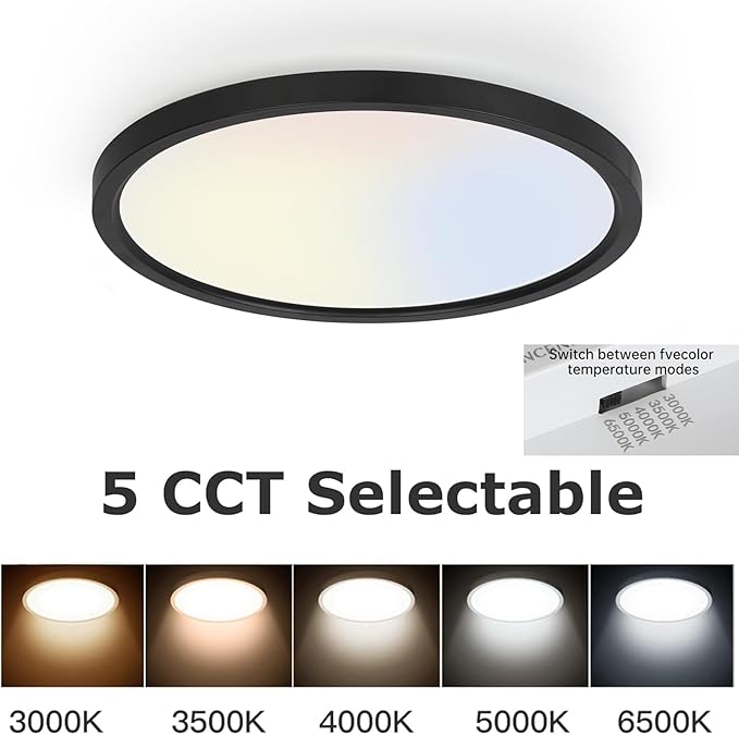 TALOYA 2 Pack of Black 10 Inch LED Ceiling Light Fixture Flush Mount for Closet Porch, 5 CCT Options, Energy Efficient Ceiling Fixture 20W Equivs to 120W Traditional Lamp Perfect for Low Ceiling