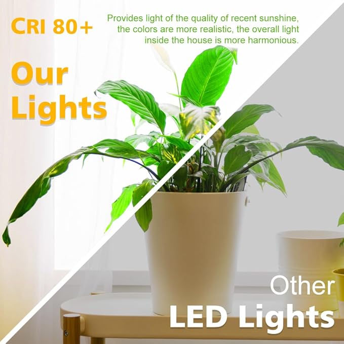 2 Inch LED Downlight, Recessed Lighting Dimmable Ceiling Light, 3W, 2700K Ultra Warm White, CRI80 with LED Driver(35W Halogen Equivalent), Black 20 Pack