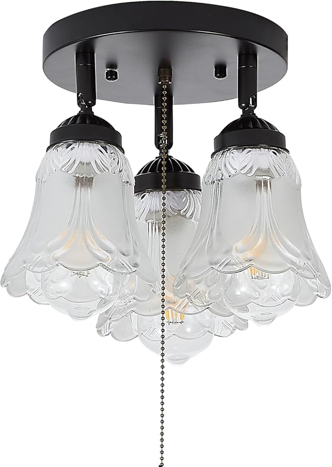 3-Light Flush Mount Ceiling Light with Pull Chain Clear and Frosted Glass Low Profile Lighting Fixtures for Kitchen Living Room Dining Room Closet, Black