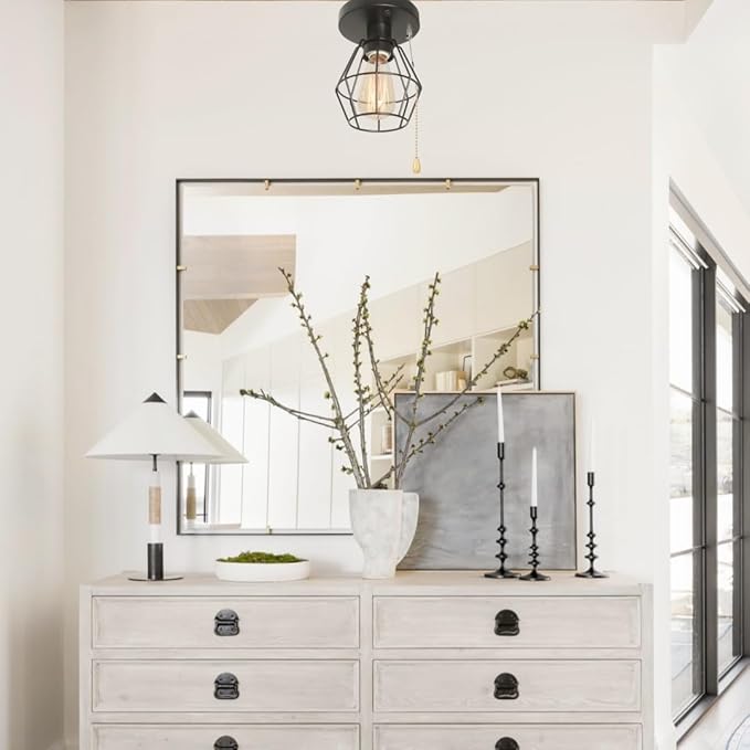 Black Metal Wire Cage Ceiling Light with Pull Chain, 1-Light Modern Industrial Semi Flush Mount Light Small Pull String Entryway Porch Ceiling Light Fixture Edison E26 161